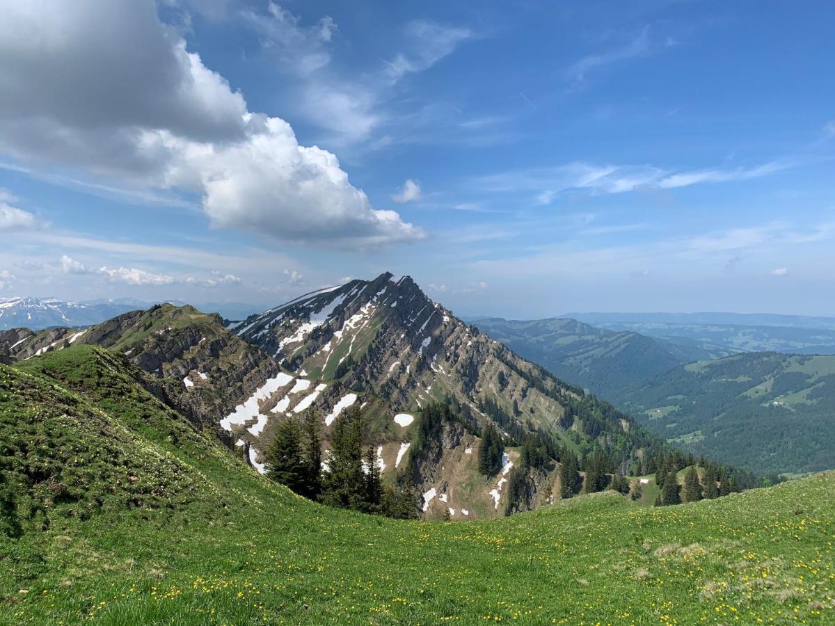 Staufen Herz Oberstaufen Exterior foto